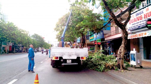 Chủ động phòng tránh thiên tai khi mùa mưa, bão sắp đến