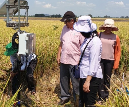 Cần Thơ đưa công nghệ 4.0 vào đồng ruộng