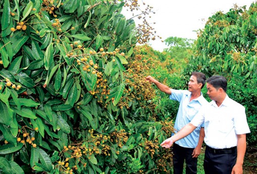 Khai thác tiềm năng, nâng tầm sản phẩm địa phương