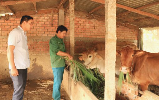 ជួយ​កង​ប្រ​ជា​ស្វ័យ​ត្រា​ណពង្រីក​សេដ្ឋ​កិច្ច​គ្រួ​សារ​