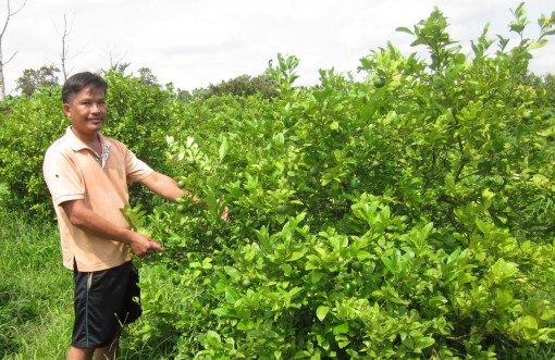 Giai Xuân tích cực giảm nghèo