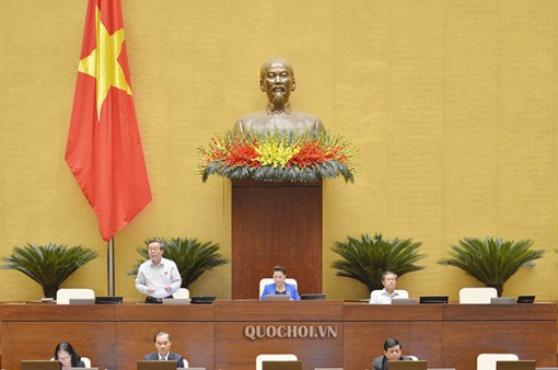 Tăng tính chuyên nghiệp của đại biểu Quốc hội