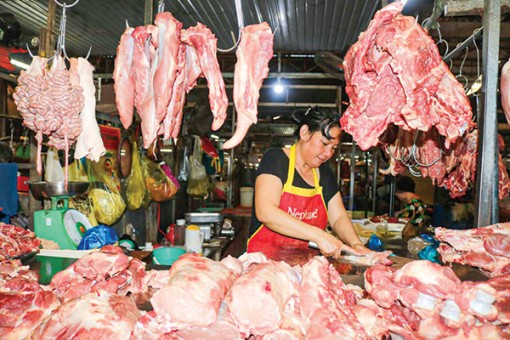 Mong giá thịt heo sớm giảm trở lại !