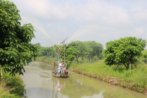 ĐBSCL: Dòng chảy duy trì thấp, mặn xâm nhập giảm nhưng vẫn ở mức cao vào đầu tháng 6