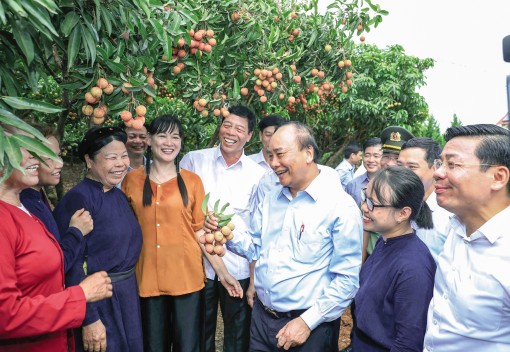 Thủ tướng động viên đoàn xe xuất hành tiêu thụ vải thiều Bắc Giang