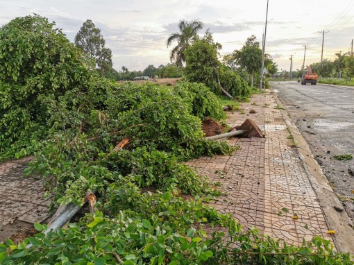 Mưa lớn kèm theo lốc xoáy làm tốc mái nhà, gãy trụ điện và bật gốc cây xanh ở huyện Phong Điền