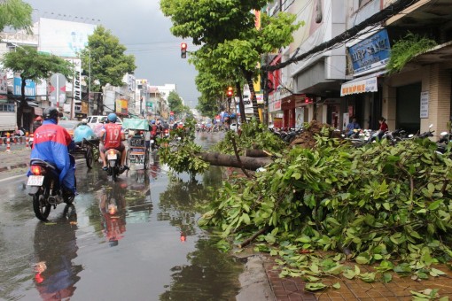 Mưa lớn, giông lốc làm sập, tốc mái nhà, ngã đổ nhiều cây xanh ở quận Ninh Kiều