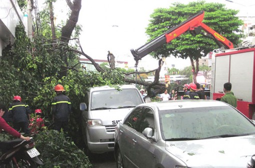 1 người chết, 36 căn nhà sập, tốc mái do mưa, giông lốc tại quận Ninh Kiều