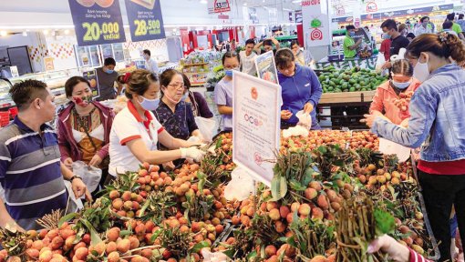 Trợ lực cho nông sản Việt