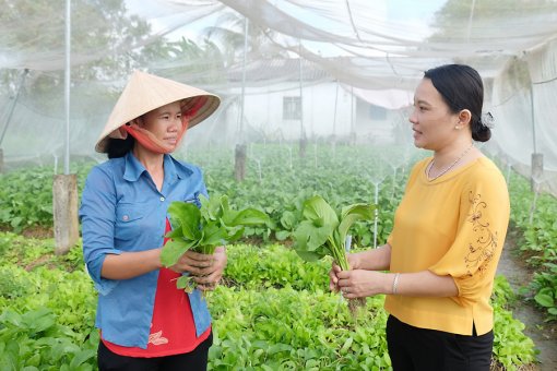 នារីភូមិព្រលានក្របី ដាំបន្លែសុវត្ថិភាព