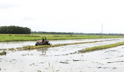 ស្រុកជនបទថ្មីហ្គក្វាវ