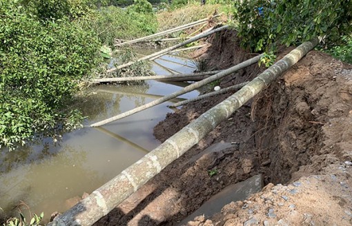 Khẩn trương khắc phục sạt lở ở quận Cái Răng