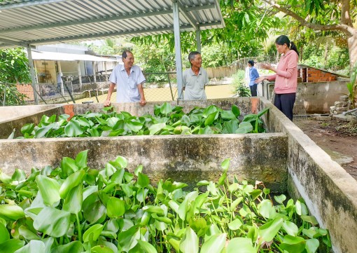 "Nữ hoàng" cua đinh