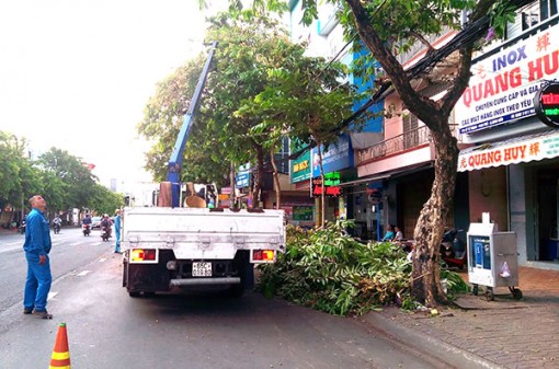 Ninh Kiều chủ động phòng, tránh thiên tai