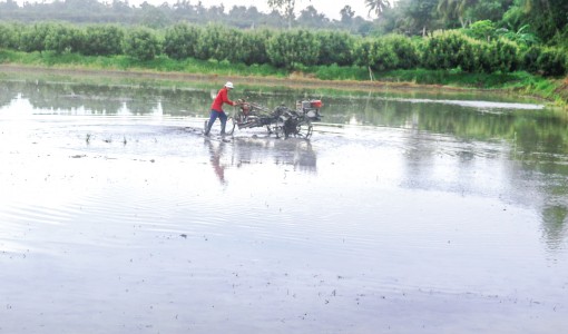 Thuận lợi, nhưng không được chủ quan
