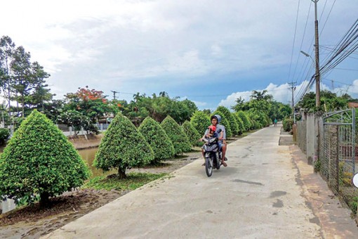 Vĩnh Thạnh phấn đấu hoàn thành chỉ tiêu tăng trưởng kinh tế-xã hội năm 2020