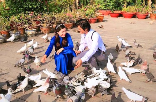 Tình khúc hoa viên Tràm