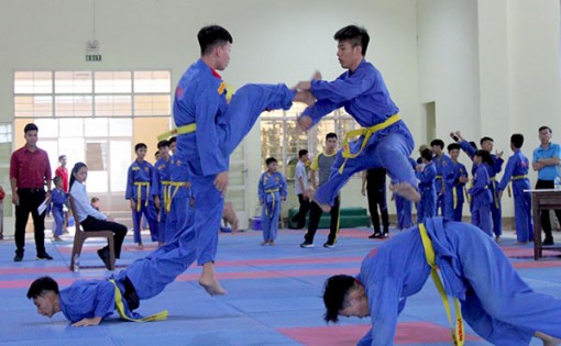 Khai mạc Giải vô địch trẻ, học sinh các môn Bơi, Cờ vua và Vovinam TP Cần Thơ 2020