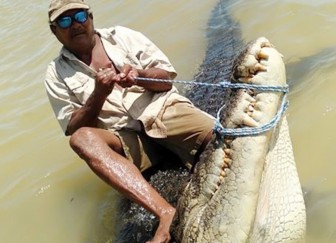 ពី​រនា​ក់ឪ​កូន​ចាប់​ក្រពើដ៏​ធំ​មួយ​ក្បាល​តែង​ស៊ី​អណ្ដើក​ដ៏​កម្រ​មាន​