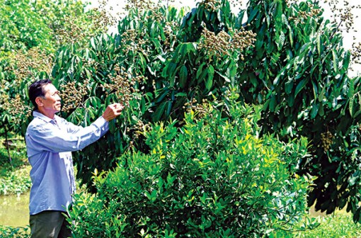 Phấn đấu đạt tăng trưởng kinh tế mức cao nhất có thể