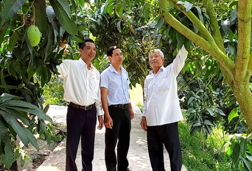 Thi đua làm giàu