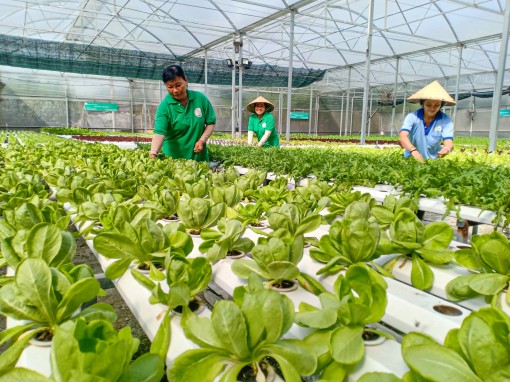 Doanh nghiệp khoa học

công nghệ bước đầu hội nhập