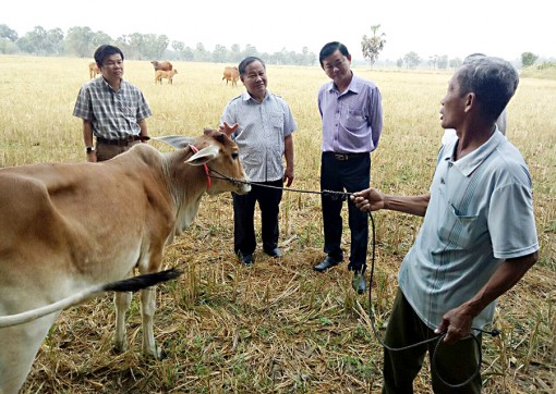 ឱ្យ​”សន្ទូច​”ដល់​គ្រួ​សារ​ក្រ