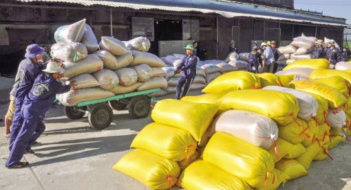 Tiếp sức cho doanh nghiệp

khôi phục sản xuất, kinh doanh