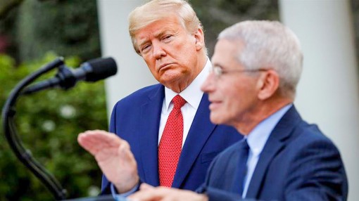 Ông Trump dịu giọng

với Tiến sĩ Fauci