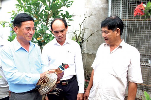 Cựu chiến binh huyện Phong Ðiền thi đua gương mẫu