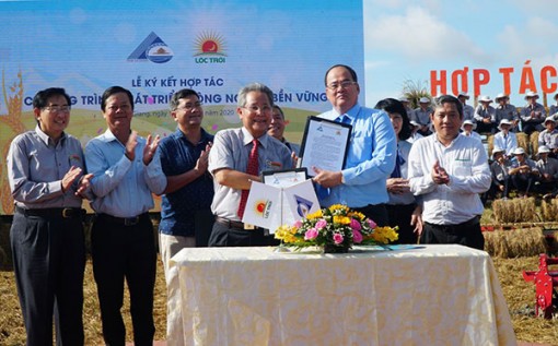 An Giang và Tập đoàn Lộc Trời liên kết phát triển HTX kiểu mới