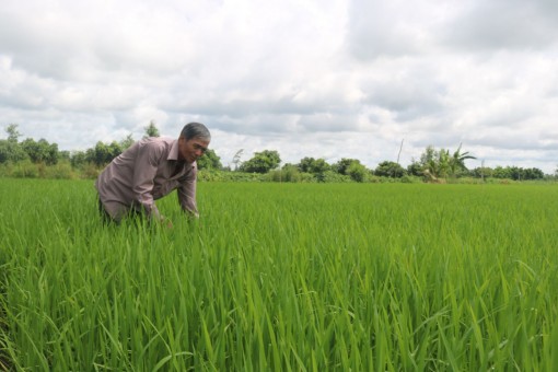 Ô Môn vừa chống dịch, vừa phát triển kinh tế