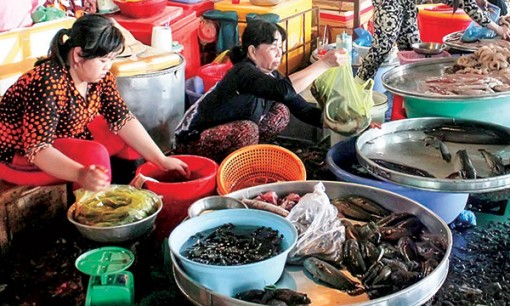Nguồn cung dồi dào