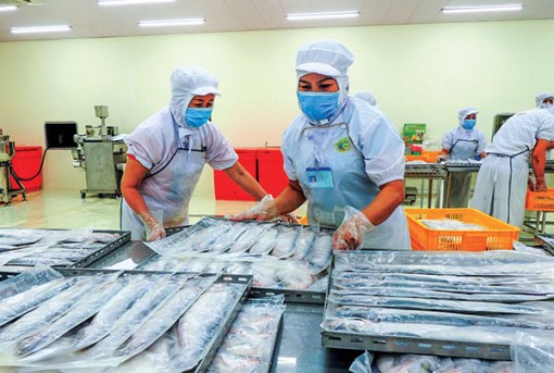 <span style="color: red">Kiến tạo, xung kích biến "nguy" thành "cơ"</span> <br>Bài 2:  Khát vọng đưa Tây Đô lên tầm vóc mới