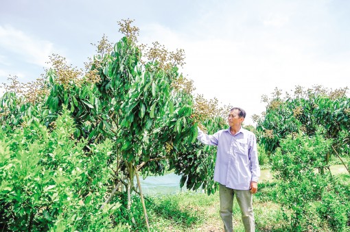 Nâng tầm diện mạo nông thôn
