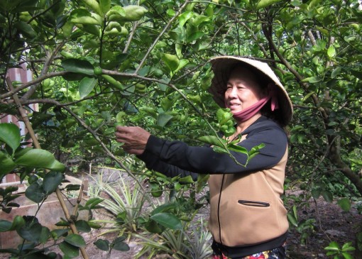 Cấp 3.140 thẻ bảo hiểm

y tế cho người nghèo,

cận nghèo