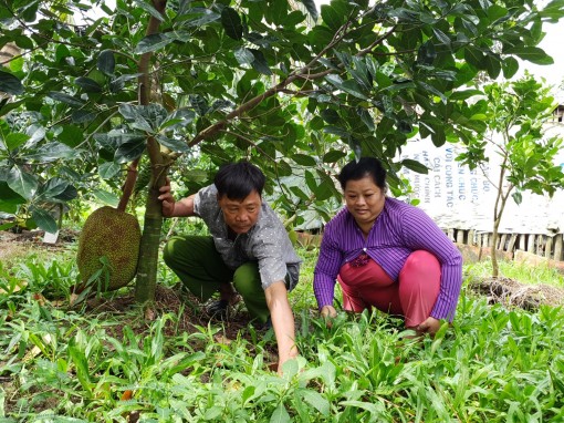 Anh Mước xin thoát nghèo