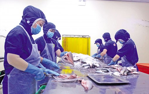 Đồng lòng thực hiện “nhiệm vụ kép”