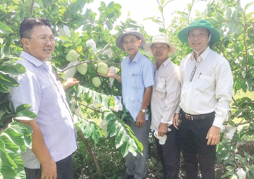 Nở rộ những mô hình, điển hình nông dân sản xuất kinh doanh giỏi