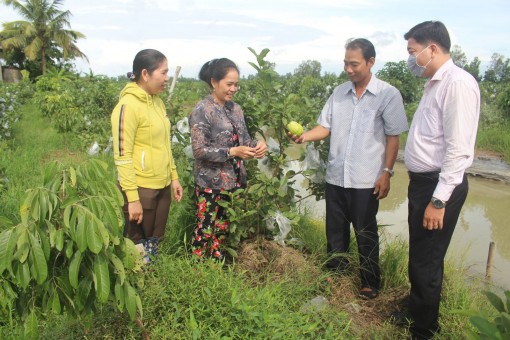 Giúp dân thoát nghèo, nâng cao mức sống