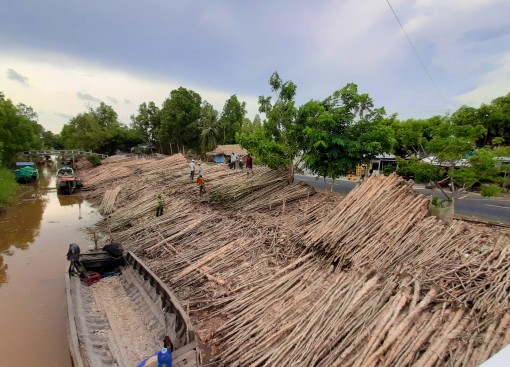 Độc đáo “chợ tràm” trên vùng đất cuối trời Tổ quốc