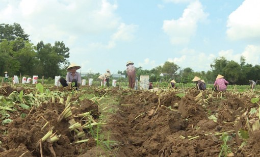 ស្រុក​ថ្កូវ​ វិនិ​យោ​គជាង​ ១៥០ ពាន់​លាន​ដុង​ អនុវត្ត​នូវ​គោលនយោ​បាយ​តំ​បន់​ជន​ជាតិ​ ភាគ​តិ​ច​ ដំ​ណា​ក់​កាល​ ២០១៥-២០២០