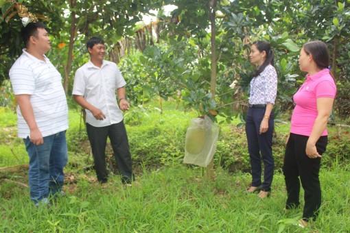 Đoàn kết, xây dựng quê hương giàu đẹp