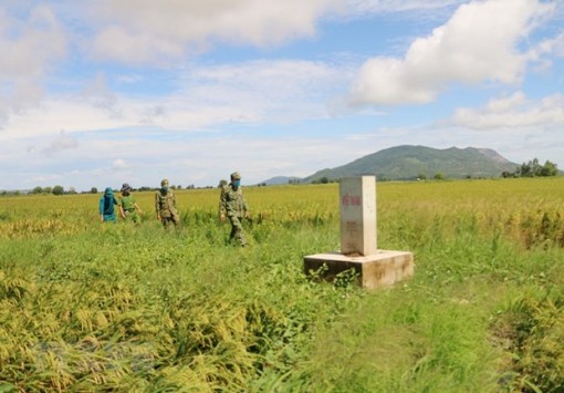 An Giang: Kiểm soát chặt chẽ xuất, nhập cảnh để phòng bệnh Chikungunya