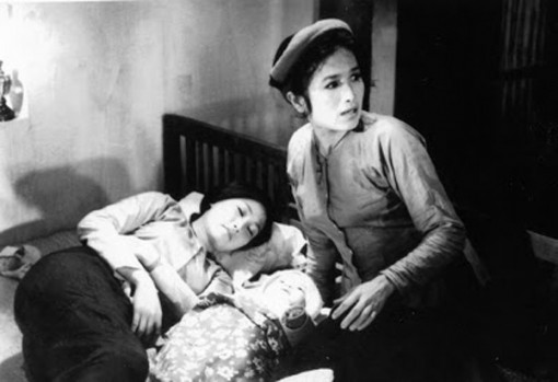 “Sao Tháng Tám” vẫn tỏa sáng