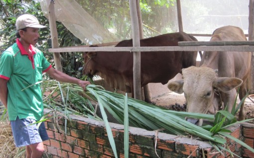 Thiết thực trợ giúp hộ nghèo