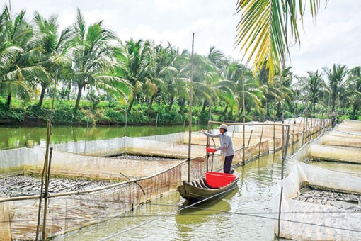 Phát huy nội lực nâng chất nông thôn mới