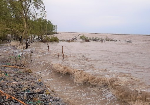 Cà Mau ban bố tình huống khẩn cấp sạt lở đê biển Tây
