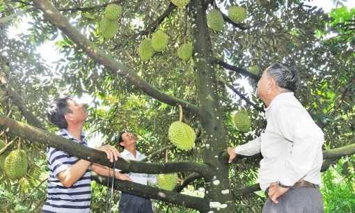 Phát huy truyền thống anh hùng