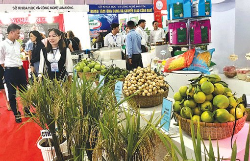 Ðề nghị đẩy mạnh kết nối cung cầu, liên kết chuỗi giá trị nông sản